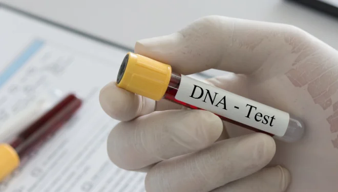 Teste-de-paternidadeDNA-660x375